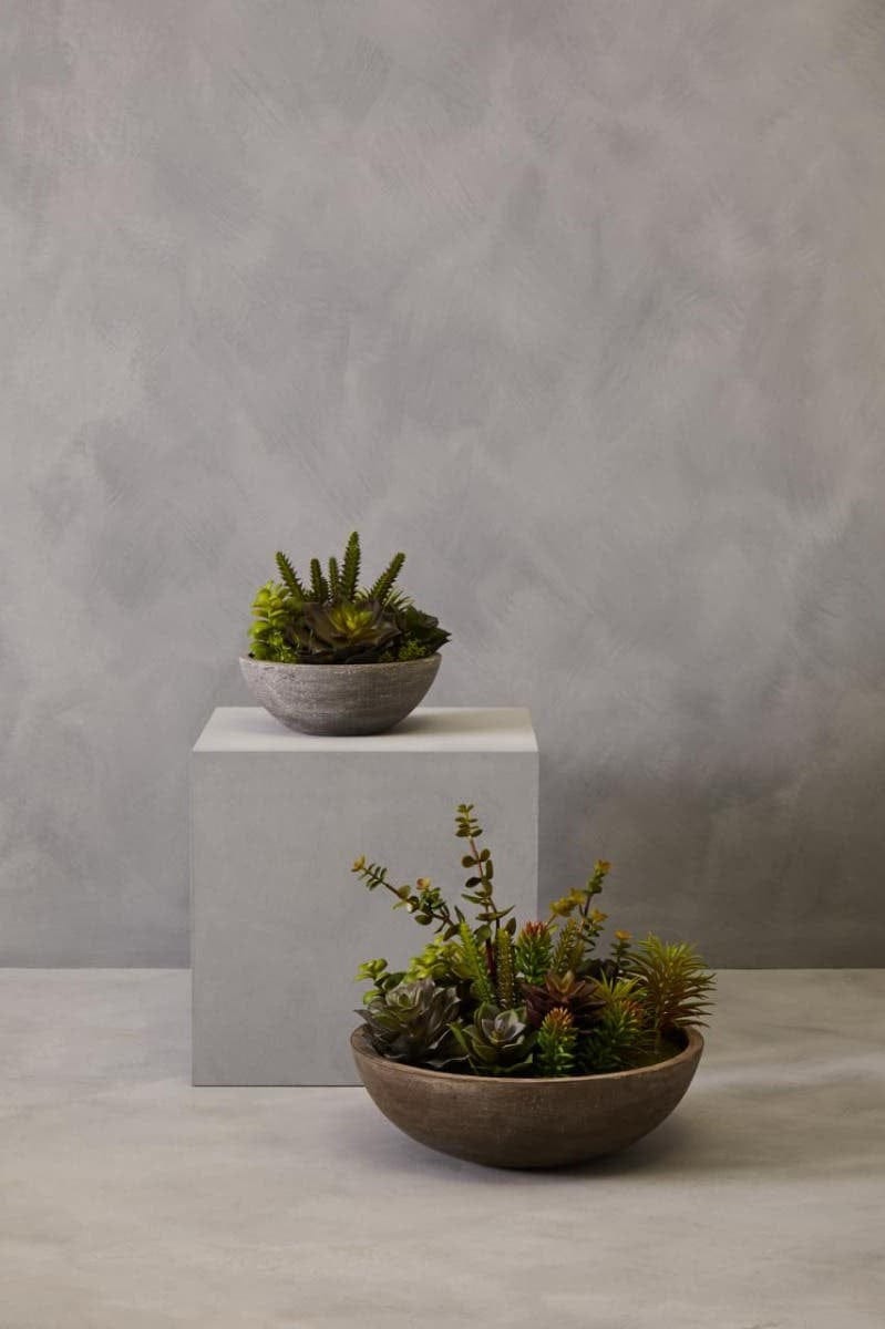 Hamilton Interiors Accessories Fiori Mixed Succulent In Stone Effect Pot House of Isabella UK