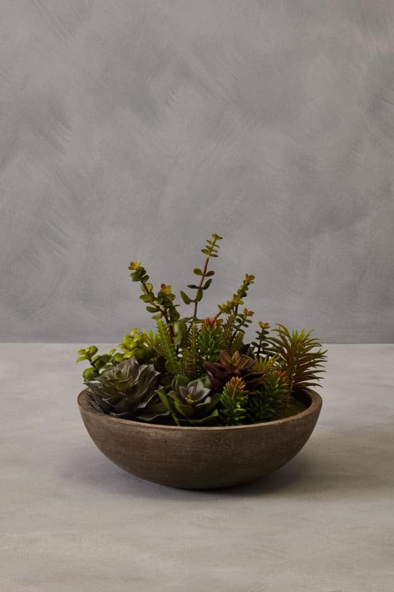 Hamilton Interiors Accessories Fiori Mixed Succulent In Stone Effect Pot House of Isabella UK