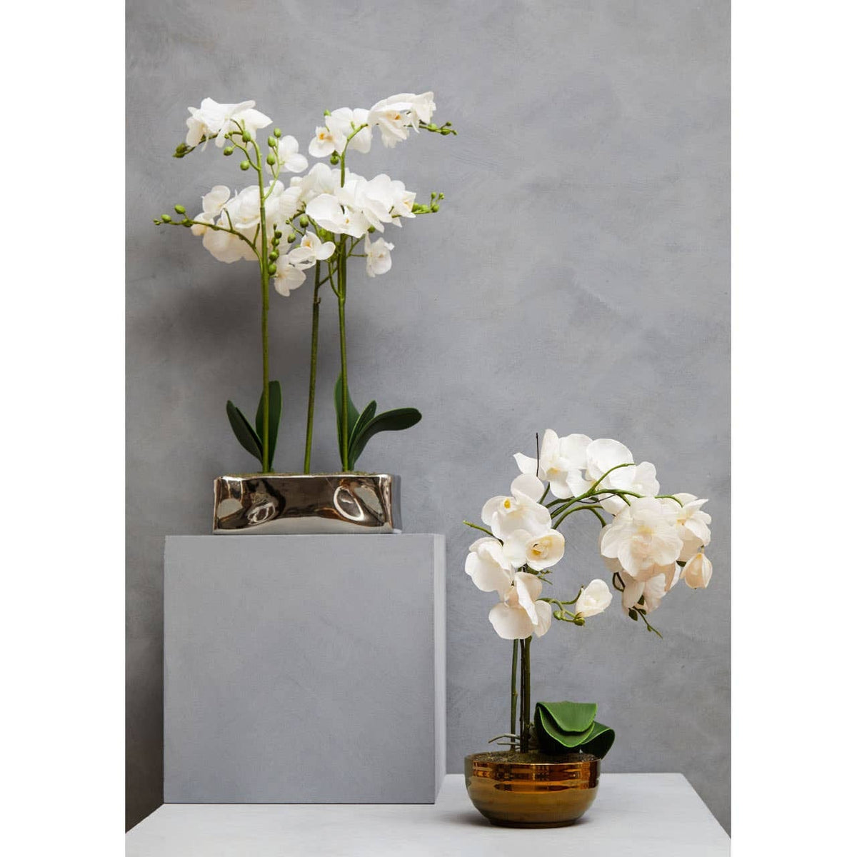 Hamilton Interiors Accessories Fiori White Orchid Plant in Rectangular Pot House of Isabella UK