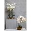 Hamilton Interiors Accessories Fiori White Orchid Plant in Rectangular Pot House of Isabella UK