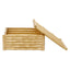 Hamilton Interiors Accessories Hiba Large Gold Finish Bamboo Effect Trinket Box House of Isabella UK