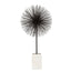 Hamilton Interiors Accessories Mirano Black Finish Starburst Sculpture House of Isabella UK