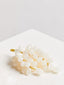 Hamilton Interiors Accessories Oleena White Onyx Decorative Grapes House of Isabella UK