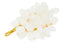 Hamilton Interiors Accessories Oleena White Onyx Decorative Grapes House of Isabella UK