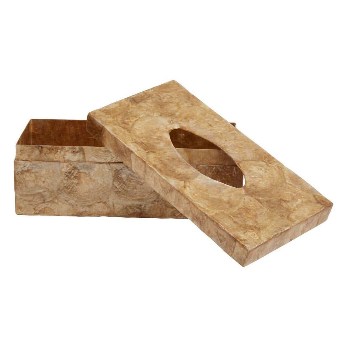 Hamilton Interiors Accessories Palu Beige Seashell Tissue Box House of Isabella UK