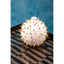 Hamilton Interiors Accessories Picos White and Gold Spikes Small Box House of Isabella UK