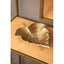 Hamilton Interiors Accessories Prato Gold Finish Leaf Dish House of Isabella UK