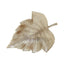 Hamilton Interiors Accessories Prato Gold Finish Leaf Dish House of Isabella UK