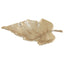 Hamilton Interiors Accessories Prato Gold Finish Leaf Dish House of Isabella UK