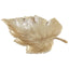 Hamilton Interiors Accessories Prato Gold Finish Leaf Dish House of Isabella UK