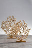 Hamilton Interiors Accessories Prato Large Gold Finish Coral Sculpture House of Isabella UK