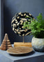Hamilton Interiors Accessories Relic Petrified Wood Large Bowl House of Isabella UK