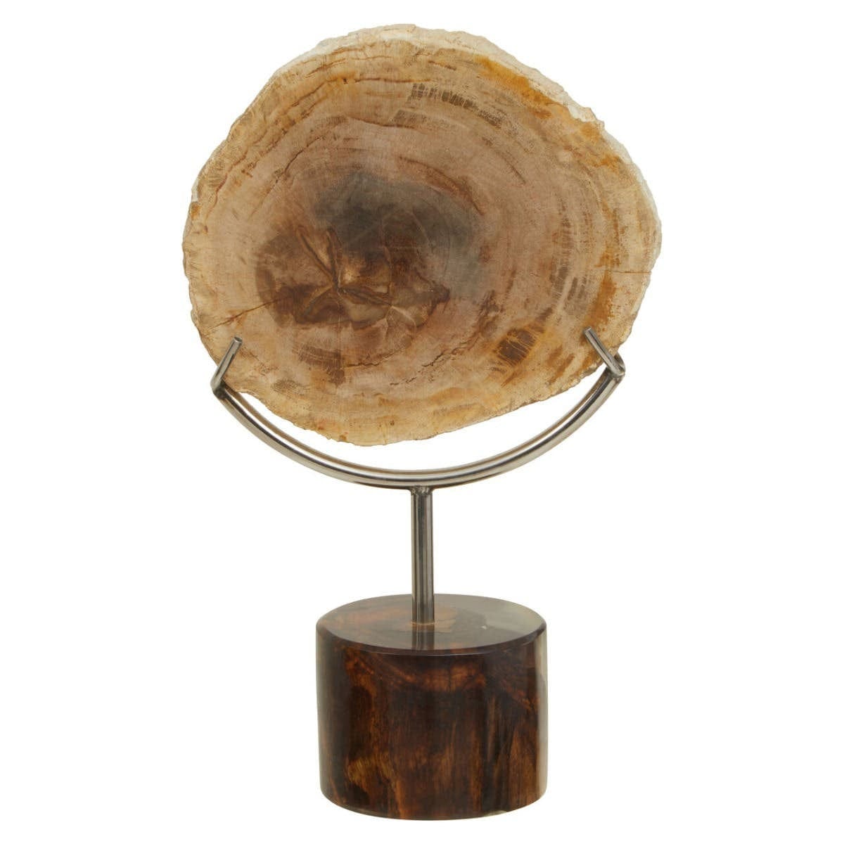 Hamilton Interiors Accessories Relic Petrified Wood Sculpture House of Isabella UK