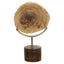 Hamilton Interiors Accessories Relic Petrified Wood Sculpture House of Isabella UK