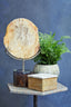 Hamilton Interiors Accessories Relic Petrified Wood Sculpture House of Isabella UK