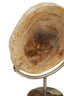 Hamilton Interiors Accessories Relic Petrified Wood Sculpture House of Isabella UK