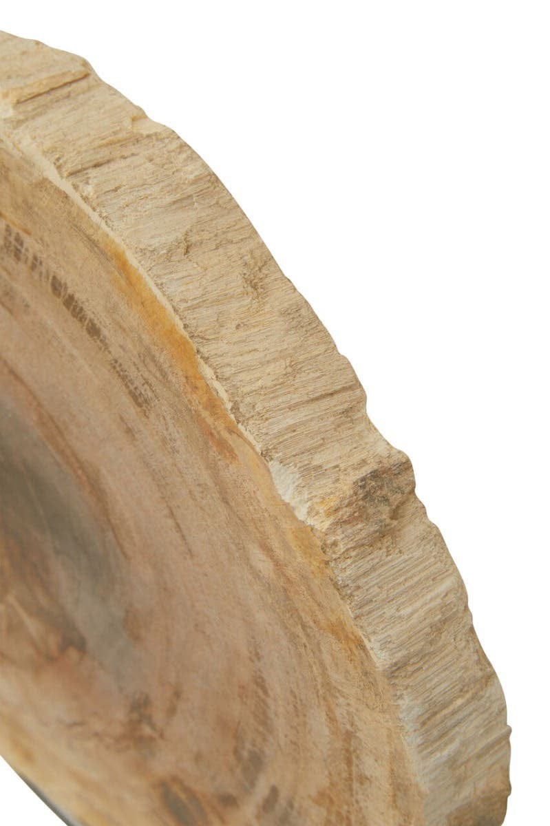 Hamilton Interiors Accessories Relic Petrified Wood Sculpture House of Isabella UK