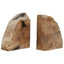 Hamilton Interiors Accessories Relic Set Of 2 Petrified Wood Bookends House of Isabella UK