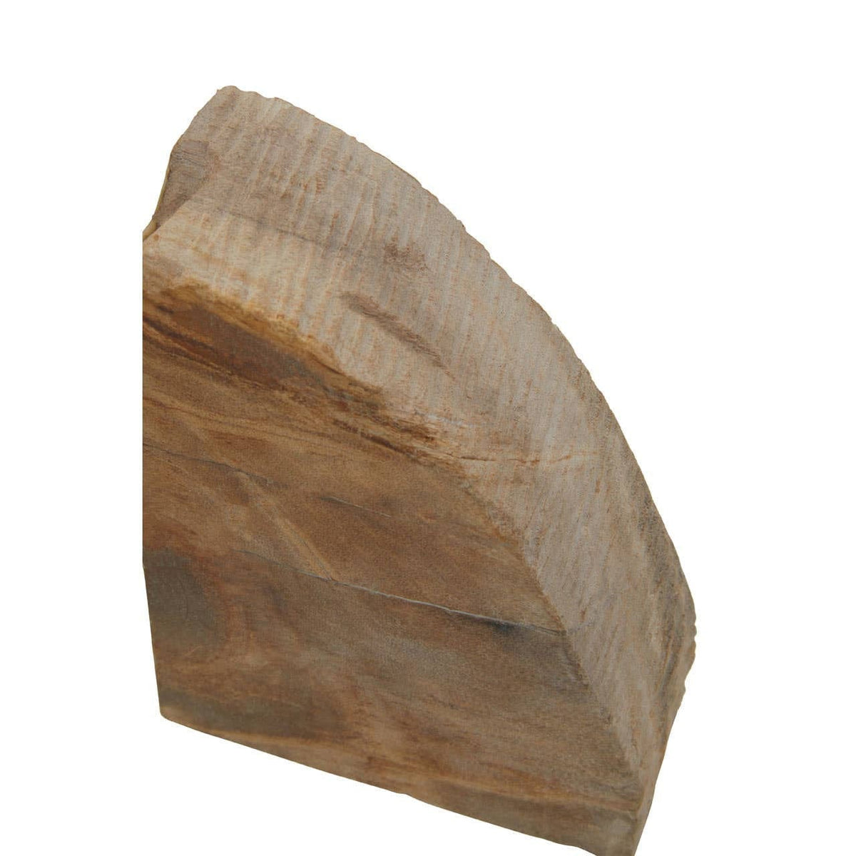 Hamilton Interiors Accessories Relic Set Of 2 Petrified Wood Bookends House of Isabella UK