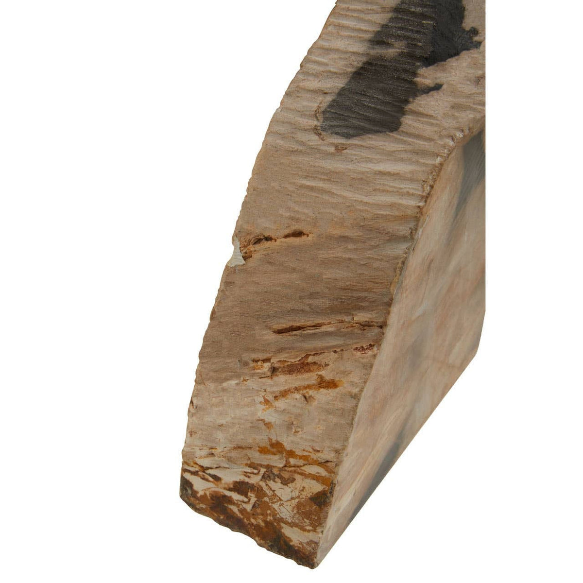 Hamilton Interiors Accessories Relic Set Of 2 Petrified Wood Bookends House of Isabella UK