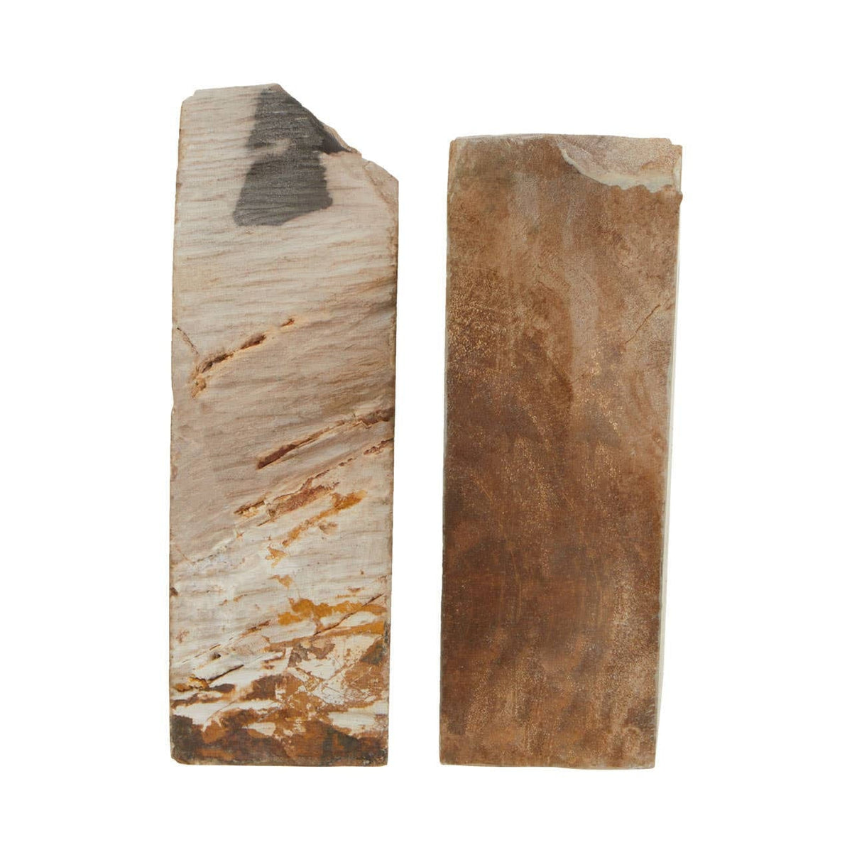 Hamilton Interiors Accessories Relic Set Of 2 Petrified Wood Bookends House of Isabella UK