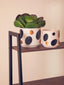 Hamilton Interiors Accessories Yuri White And Gold Spotted Planter House of Isabella UK