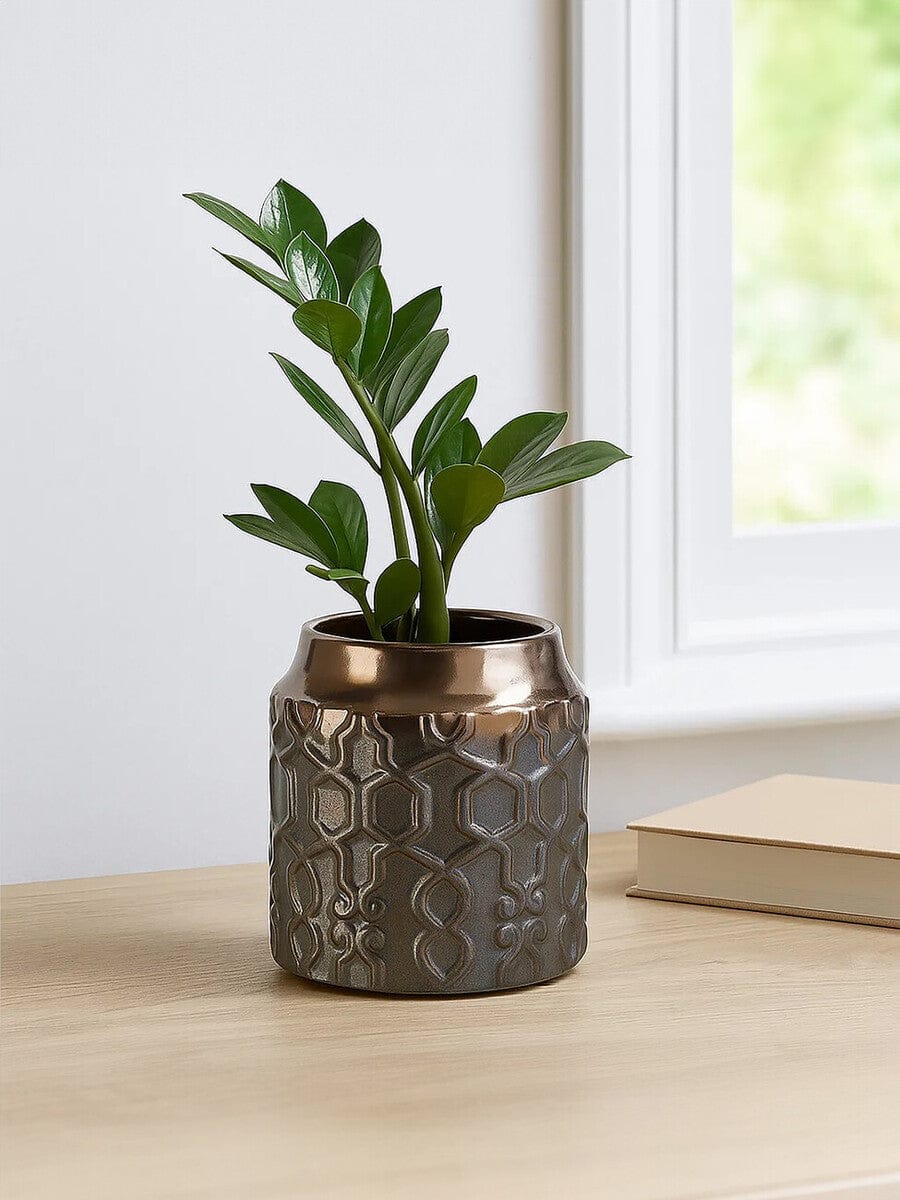 Hamilton Interiors Accessories Zircon Small Ceramic Planter House of Isabella UK