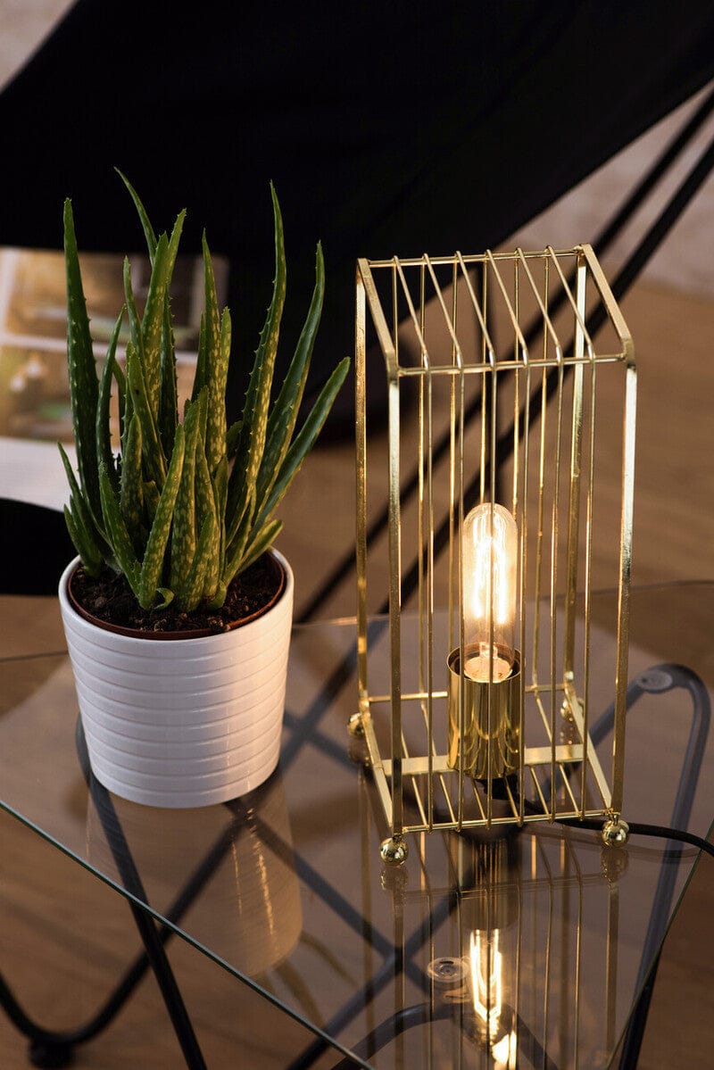 Hamilton Interiors Lighting Deco Gold Finish Table Lamp House of Isabella UK