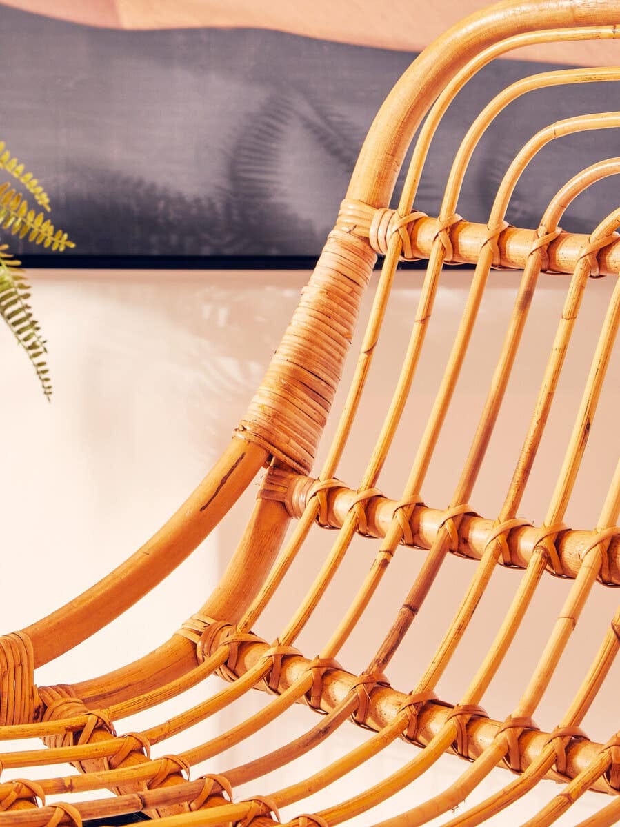 Hamilton Interiors Living Java Tiger Chair House of Isabella UK