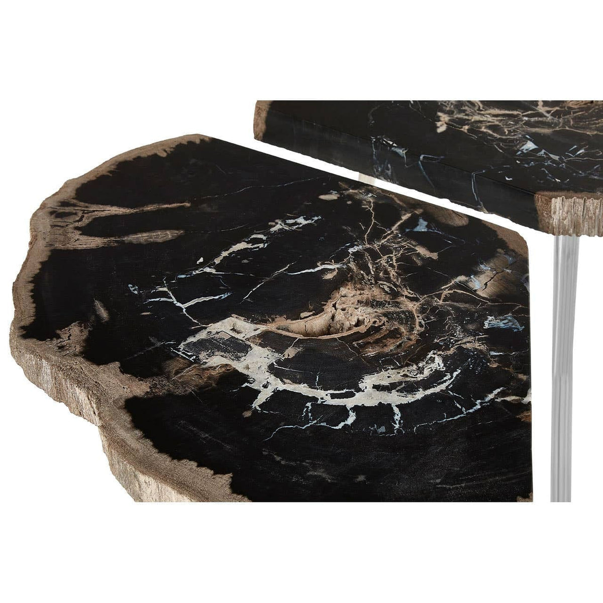 Hamilton Interiors Living Relic Dark Petrified Wood Coffee Table House of Isabella UK