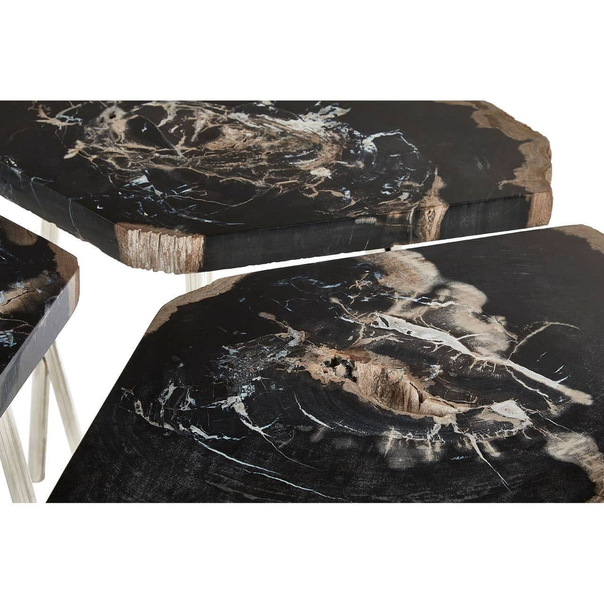 Hamilton Interiors Living Relic Dark Petrified Wood Coffee Table House of Isabella UK