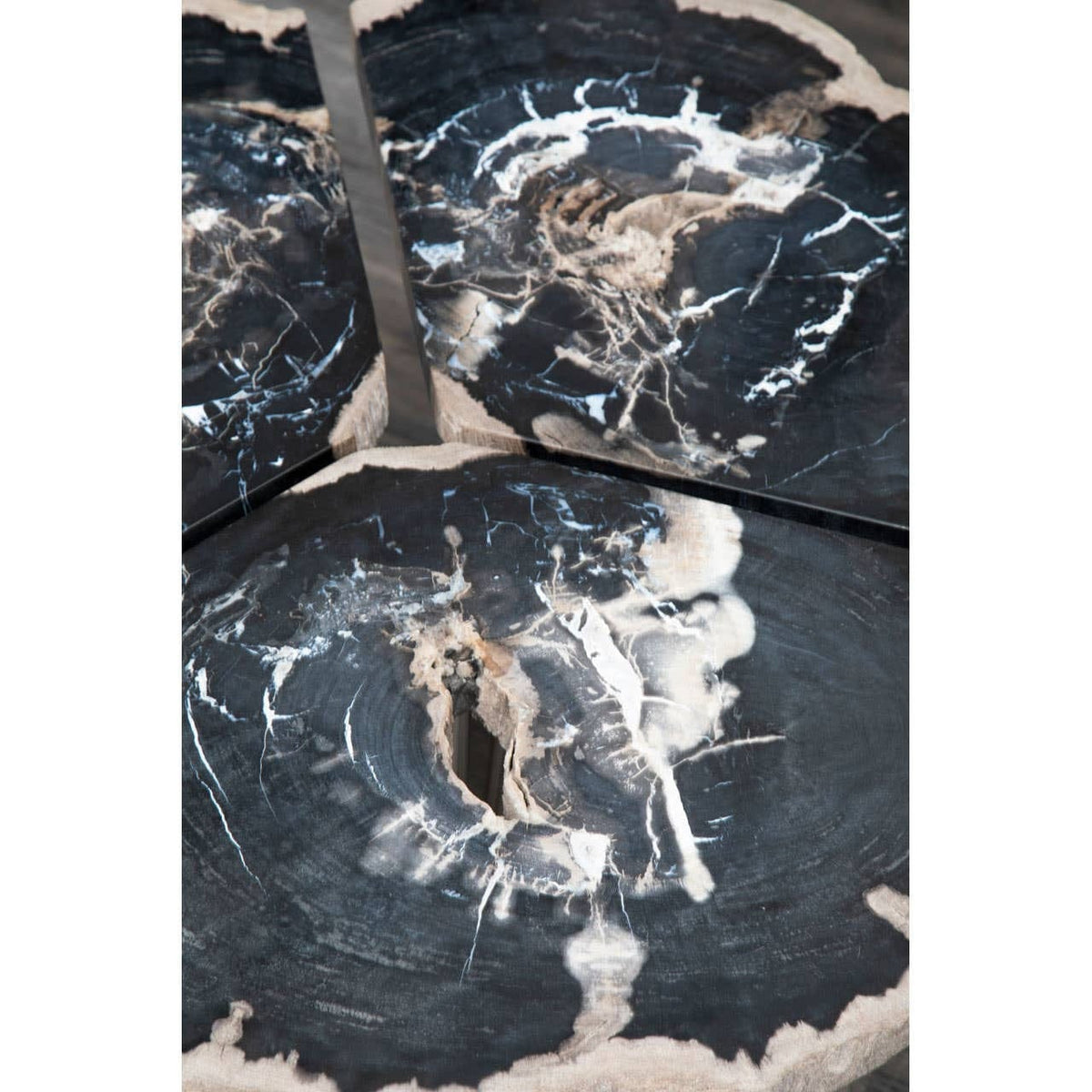 Hamilton Interiors Living Relic Dark Petrified Wood Coffee Table House of Isabella UK