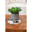 Hamilton Interiors Living Surak Cuboid Coffee Table House of Isabella UK