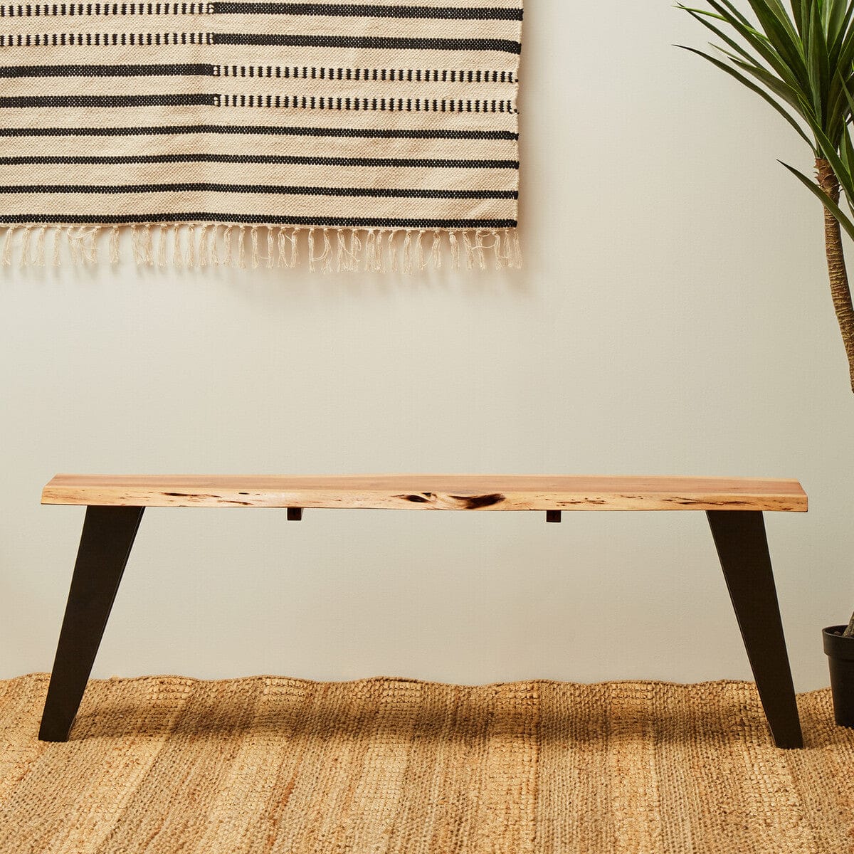 Hamilton Interiors Living Surax Acacia Wood with Live Edge Bench House of Isabella UK