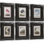 Jonathan Charles Accessories Audubon Birds Framed Prints - Set of 6 House of Isabella UK