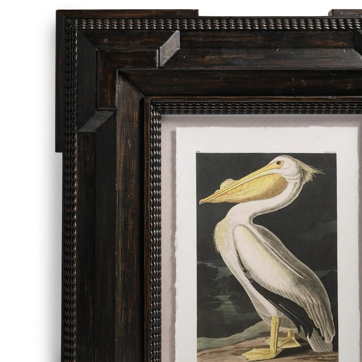 Jonathan Charles Accessories Audubon Birds Framed Prints - Set of 6 House of Isabella UK
