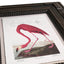 Jonathan Charles Accessories Audubon Birds Framed Prints - Set of 6 House of Isabella UK
