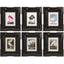 Jonathan Charles Accessories Audubon Birds Framed Prints - Set of 6 House of Isabella UK