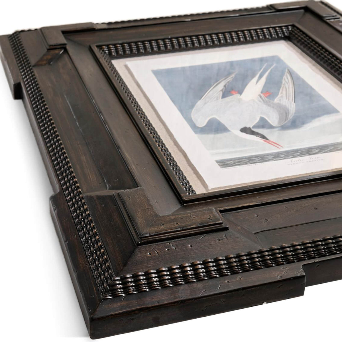 Jonathan Charles Accessories Audubon Birds Framed Prints - Set of 6 House of Isabella UK