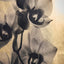 Jonathan Charles Accessories Black Orchids Photography Prints - Set of 2 House of Isabella UK