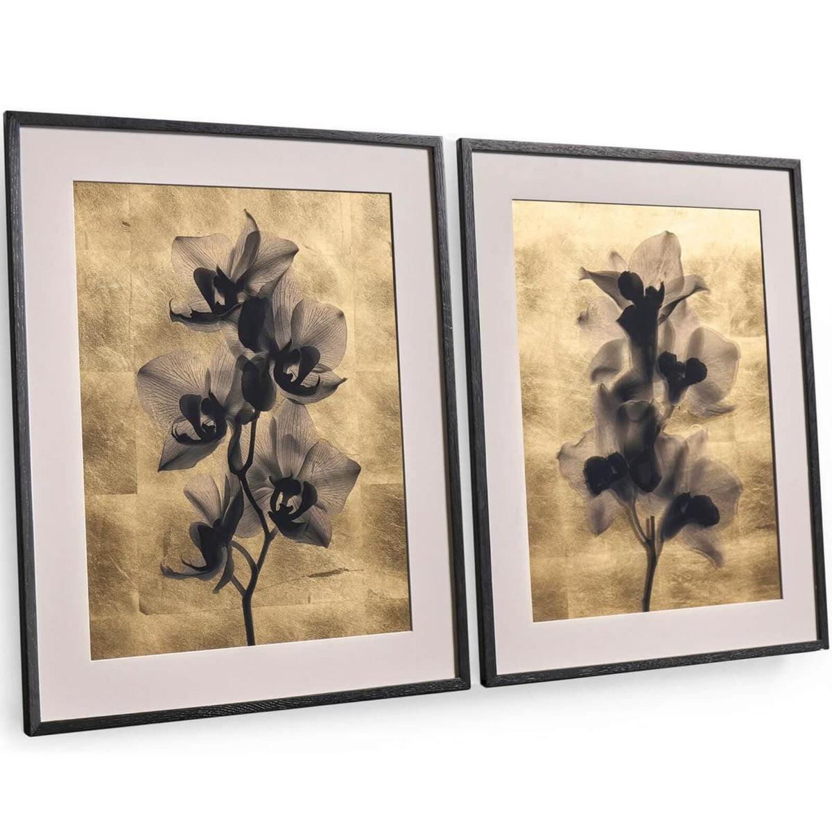 Jonathan Charles Accessories Black Orchids Photography Prints - Set of 2 House of Isabella UK
