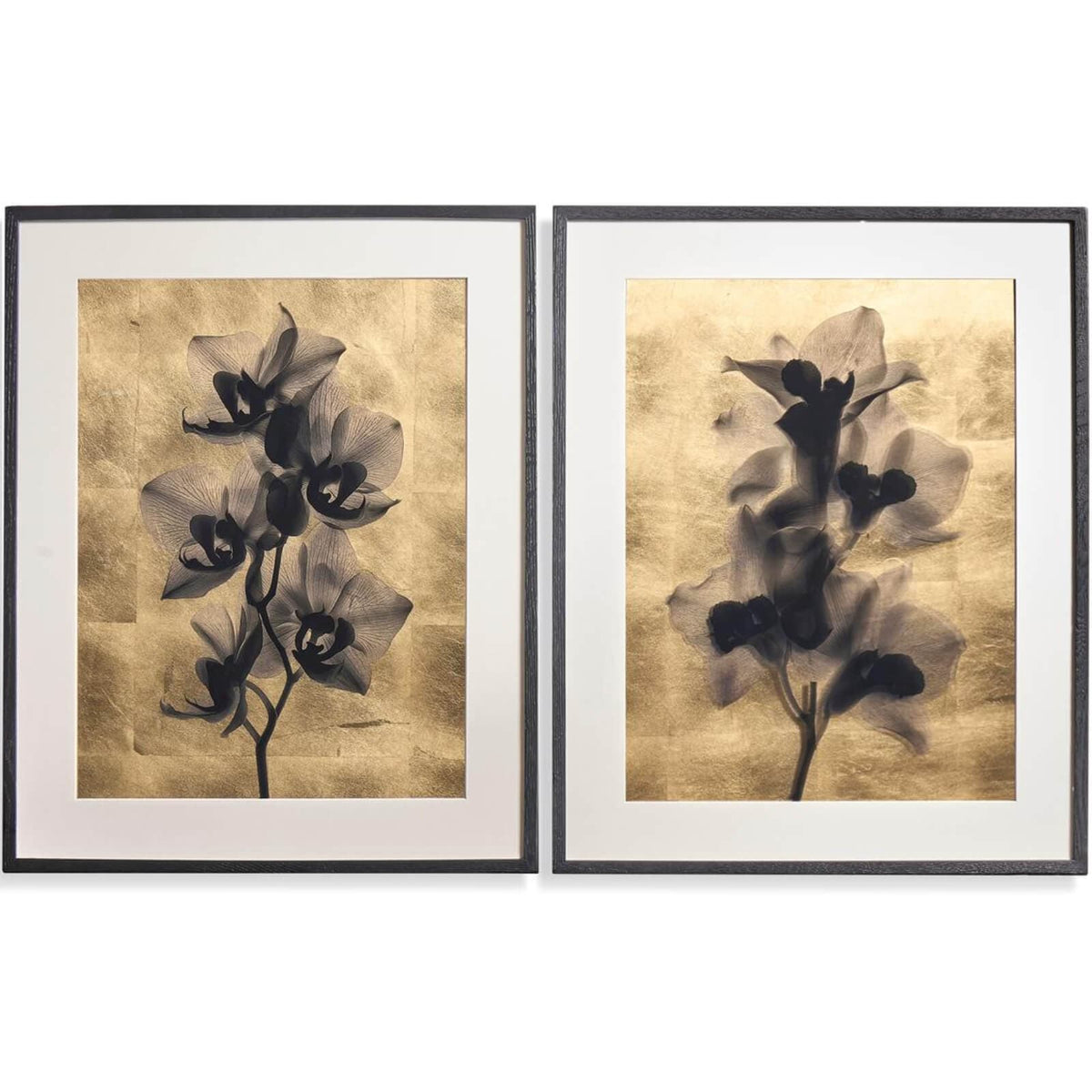 Jonathan Charles Accessories Black Orchids Photography Prints - Set of 2 House of Isabella UK