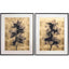 Jonathan Charles Accessories Black Orchids Photography Prints - Set of 2 House of Isabella UK