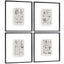 Jonathan Charles Accessories Botanica: The Art of Knowledge Framed Prints - Set of 4 House of Isabella UK