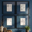 Jonathan Charles Accessories Botanica: The Art of Knowledge Framed Prints - Set of 4 House of Isabella UK