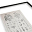 Jonathan Charles Accessories Botanica: The Art of Knowledge Framed Prints - Set of 4 House of Isabella UK