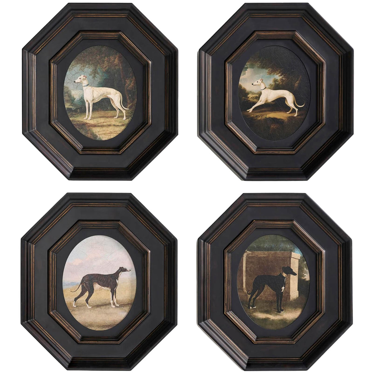 Jonathan Charles Accessories Noble Companions No. 1 Framed Art - Set of 4 House of Isabella UK