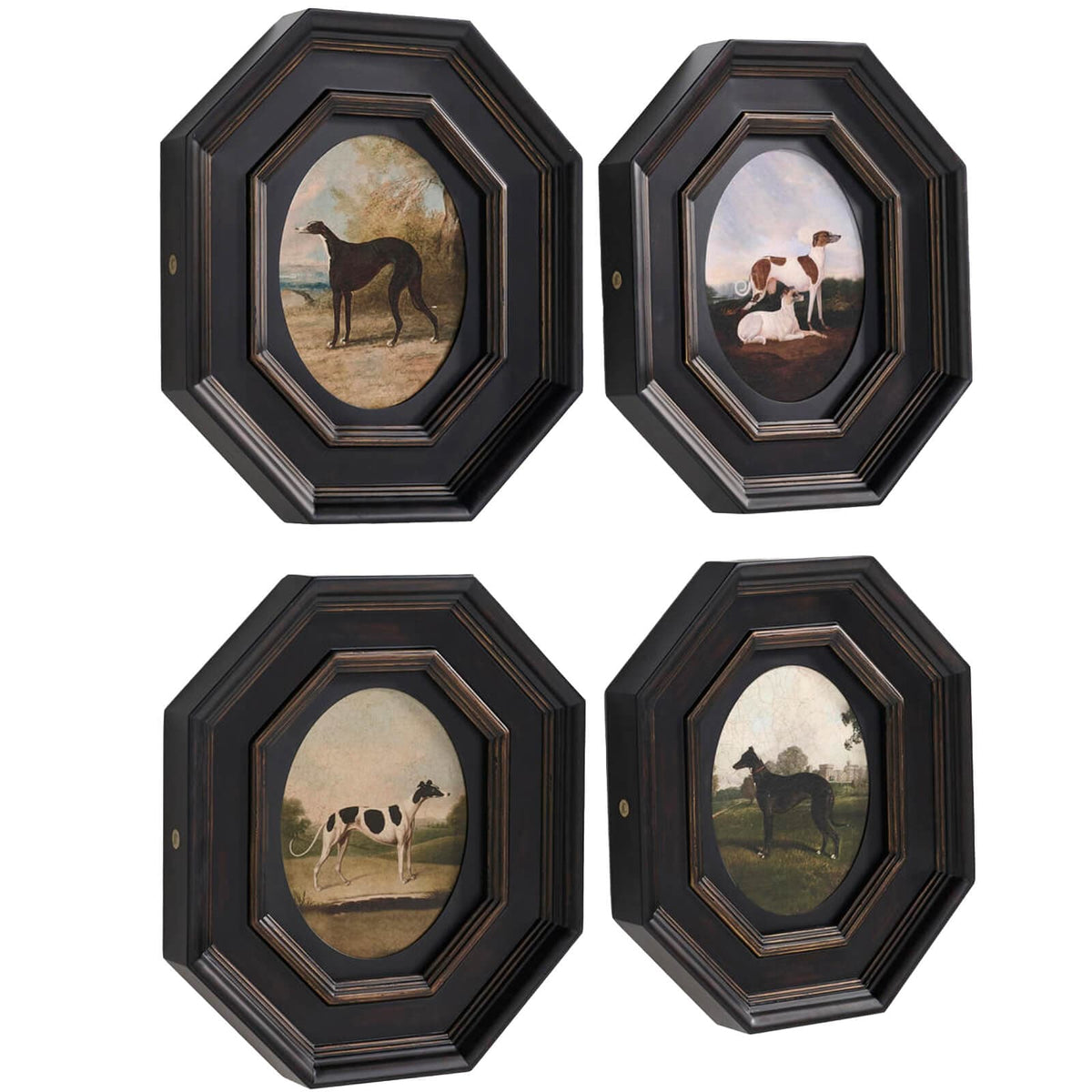 Jonathan Charles Accessories Noble Companions No. 2 Framed Art - Set of 4 House of Isabella UK