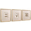 Jonathan Charles Accessories Ornaments of Legacy Shadow Boxes - Set of 3 House of Isabella UK