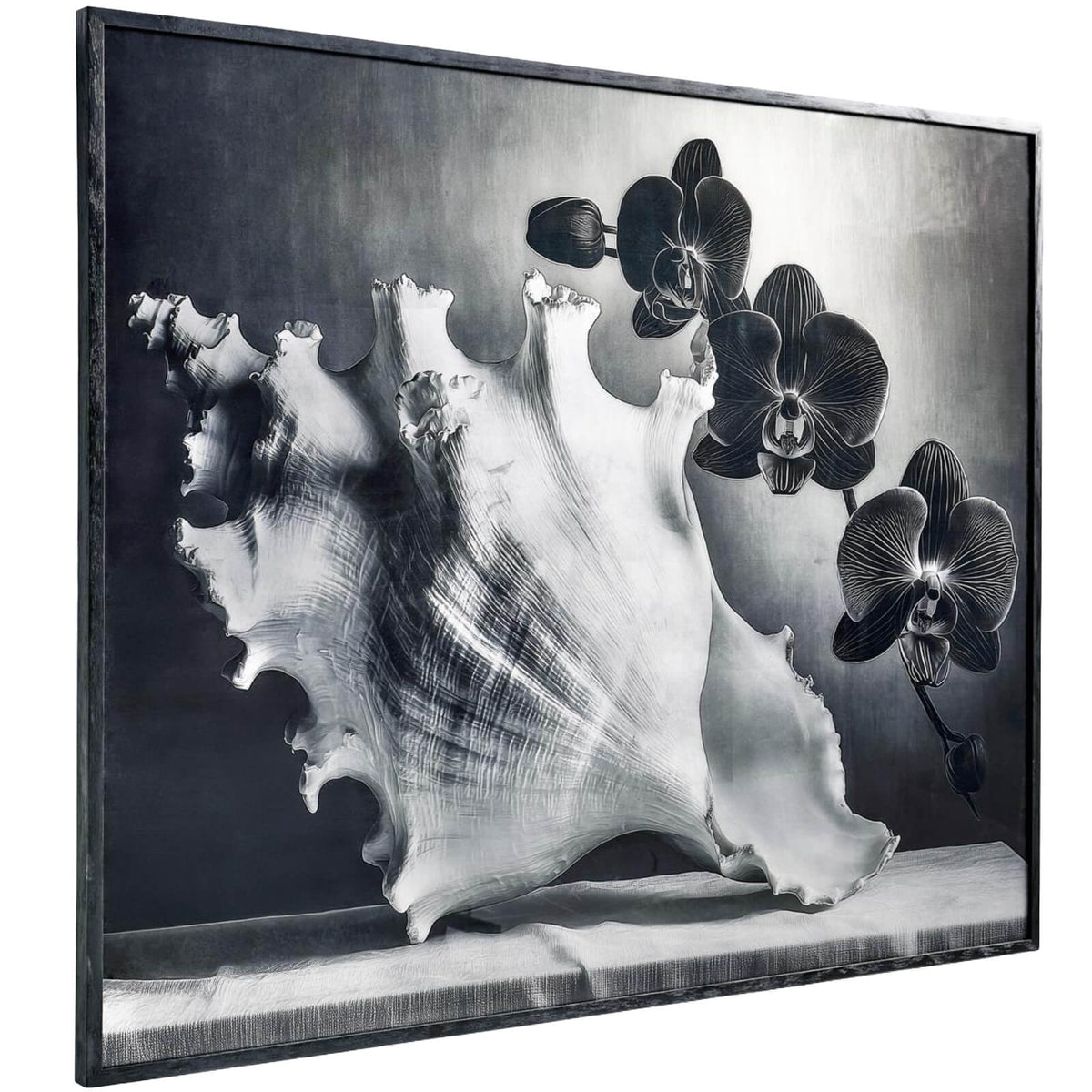 Jonathan Charles Accessories Silver Conch Photography Print House of Isabella UK